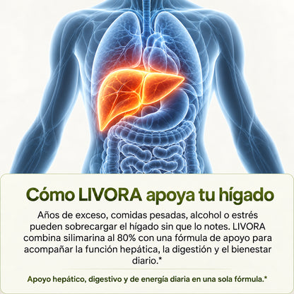 Livora